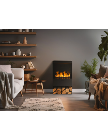 Modelo Steamy, ambiente