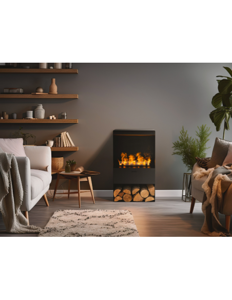 Modelo Steamy, ambiente