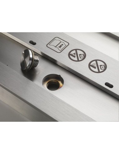 INSERTABLE LADRILLO RUBY FIRES XARALYN