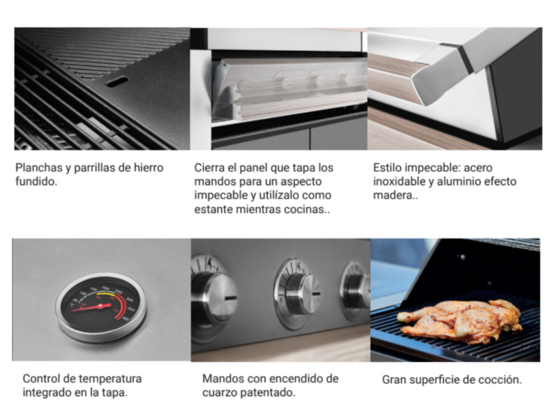 DISCOVERY 1500 3B ENCASTRABLE BEEFEATER ESTUFAMANIA