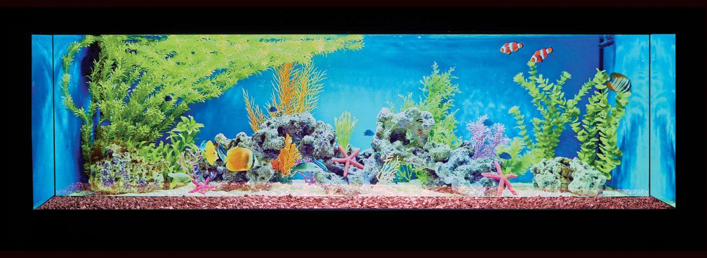 Solution TRUEFLAME 150 3DX