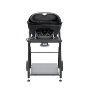 CARRO ASCONA 570 G EVO EASY CHECK - Outdoorchef
